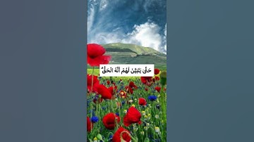 سَنُرِيهِمْ آيَاتِنَا فِي الْآفَاقِ وَفِي أَنْفُسِهِمْ ❤️#مع_القرآن #راحة_نفسية #سورة_فصلت