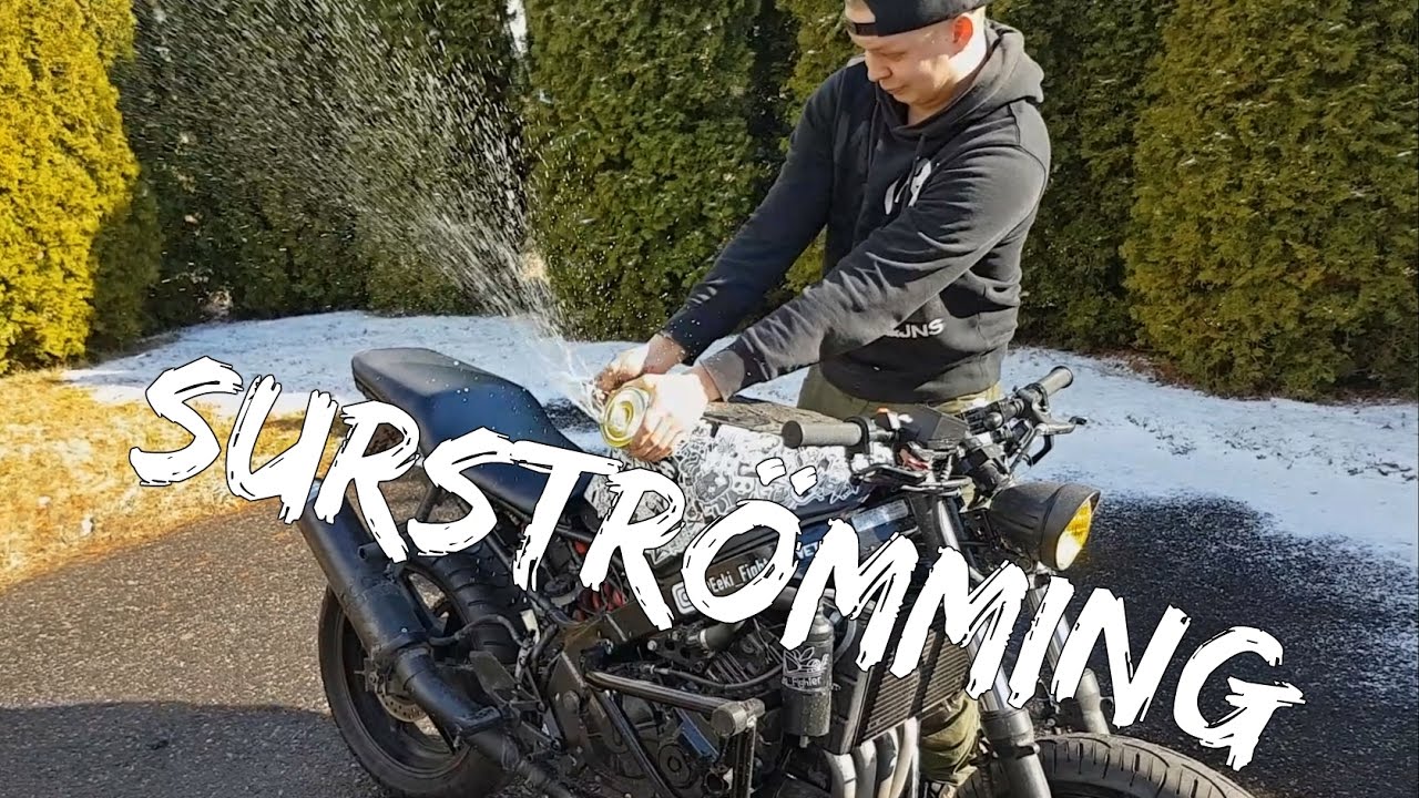 Surströmming | 500 Special