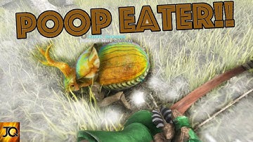How to Tame A Dung Beetle & Location - Ark: Survival Evolved Xbox One