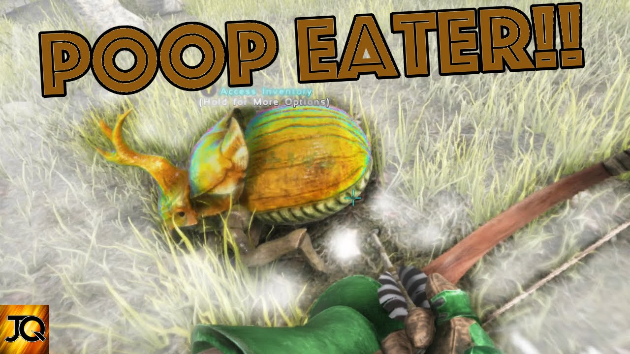 How to Tame A Dung Beetle & Location - Ark: Survival Evolved Xbox One