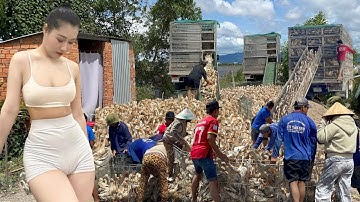 Full Video:Journey of 1000 Women Transporting Migratory Duck by Truck and Boat to New Lands for Food