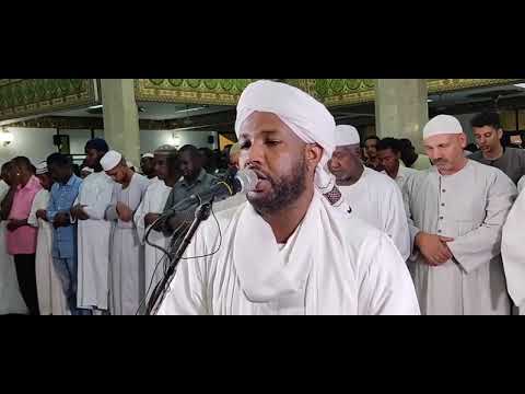 شيخ الزين محمد احمد سورة النساء