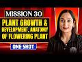 PLANT GROWTH & DEVELOPMENT, ANATOMY OF FLOWERING PLANT in ONE SHOT | Concept, Trick, PYQ | NEET 2026