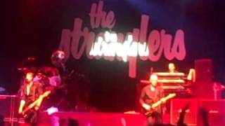 Stranglers Threatened/Something better change live