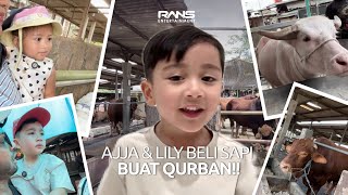 PERSIAPAN IDUL ADHA!! AJJA LILY PILIH SAPI & KERBAU WARNA PINK!!!