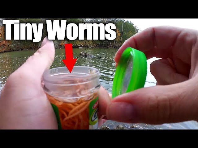 Fishing with Tiny Artificial Worms - Bluegill & Berkley GULP Alive! 