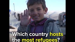 Which Country Hosts The Most Refugees?