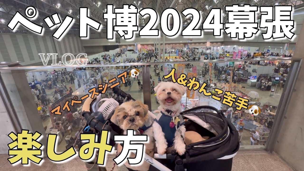 ビビリ&マイペース🐶🐶がペット博2024幕張に行ったらどうなる❓〜幕張散歩〜