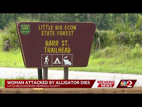 Alligator bites, kills woman swimming in the Little Big Econ River, FWC says