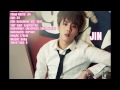 The bts files jin