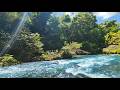 Natural River Calm ASMR 🌊 Pure Water Sounds – No Rain No Music for Sleep & Focus