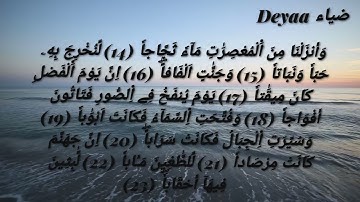 سورة النبأ للحفظ والمراجعة || برواية ورش ووقف الهبطي