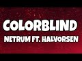 Netrum - Colorblind (feat. Halvorsen) (Lyrics) Video