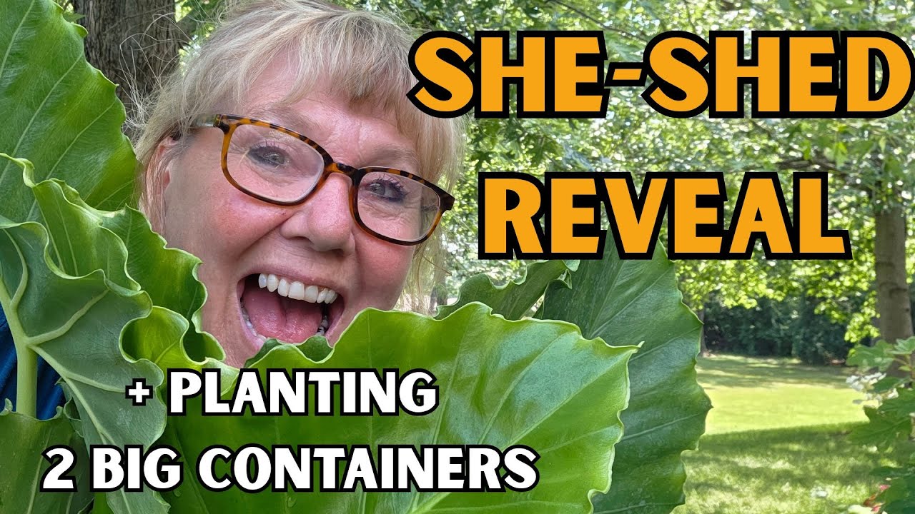She Shed Reveal + Planting 2 Big Containers