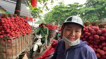 Giá vải Thiều Lục ngạn cập Nhật ngày 9/6/2023 tại phi điền lục ngạn Bắc Giang