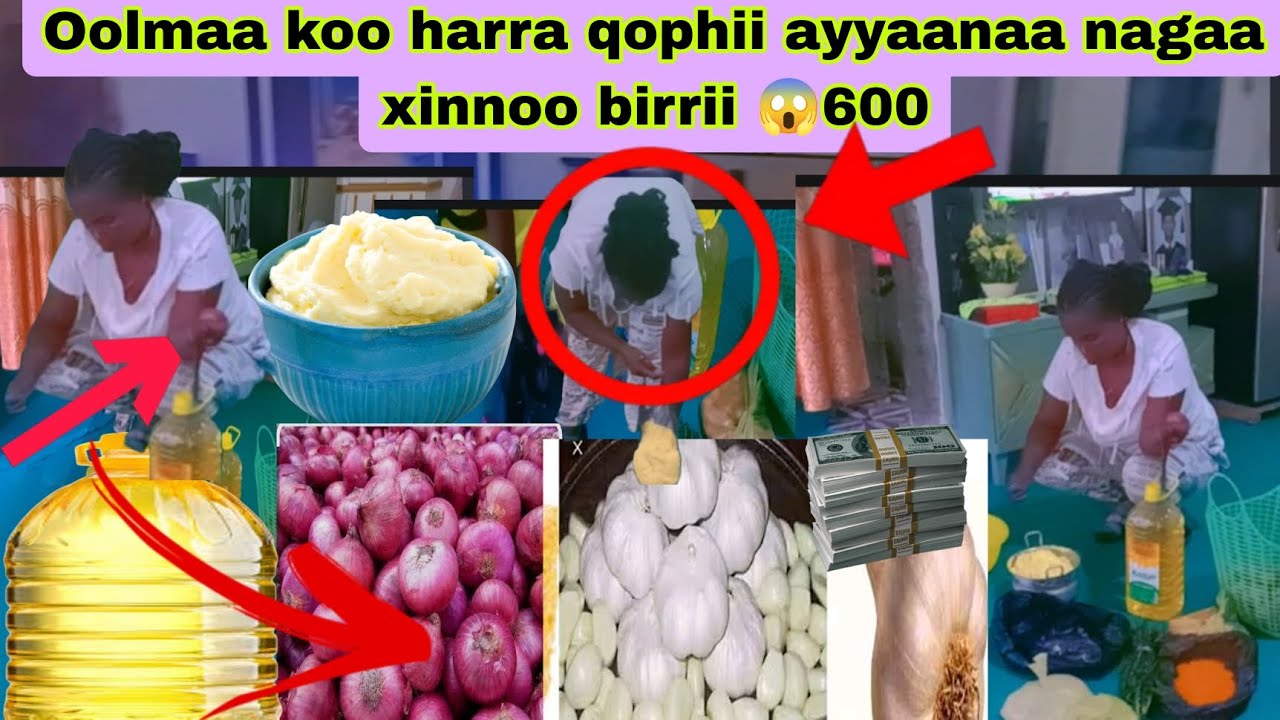 Oolmaa koo guyaa harraa _qophii ayyaanaa nagaa birrii 6000 ilaalaa 😱