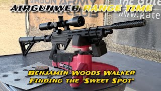 Benjamin Woods Walker Sweet Spot - Getting Consistency Shooting An Unregulated Pcp