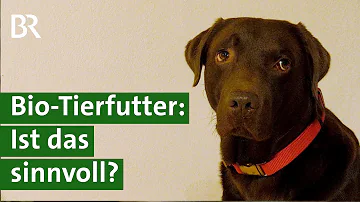 Welche Tiere haben einen Erdbau?