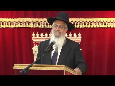 דיני שליחות | חושן משפט | הרב יורם סרי