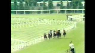 Horse Racing 1979 Eclipse Stakes