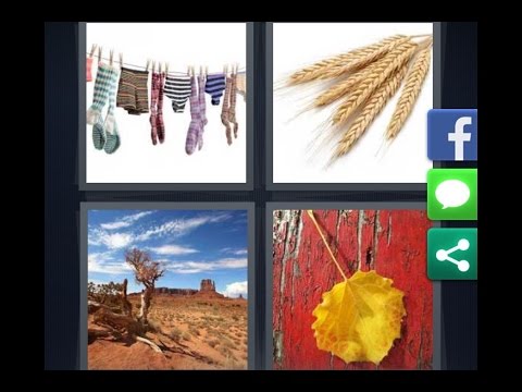 4 image 1 mot niveau 32 android