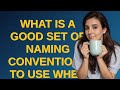 Salesforce: What is a good set of naming conventions to use when developing on the Force.com plat...
