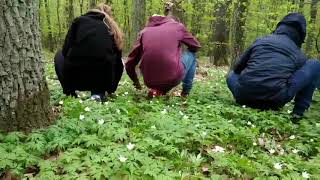 Реальна загроза для нашої громади - сміттєзвалище Заброди!!!