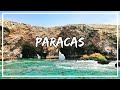 PARACAS- ISLAS BALLESTAS + PASEO EN CATAMARAN + PASEO EN BUGGIE | NUEVA NORMALIDAD