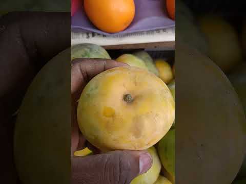 rumani mango in telugu