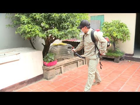 Tin Tức 24h Mới Nhất : Tổng phun hóa chất diệt muỗi trên toàn TP Hà Nội từ ngày 14-8