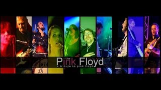 The PINK FLOYD PROJECT - the eleveator sessions making of