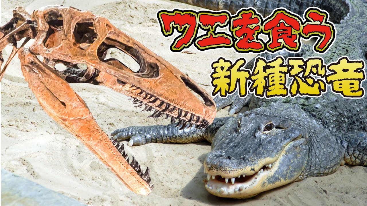 New Dinosaur Species] Preying on Crocodiles with Its Huge Claws