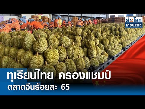 ทุเรียนไทย ครองแชมป์ตลาดจีนร้อยละ 65 