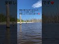 🔺最新動画🔺