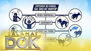 Download lagu Salamat Dok: Information about rabies