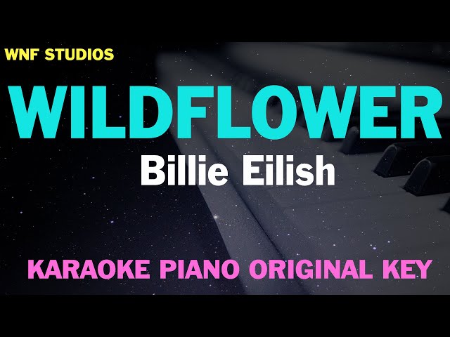 Billie Eilish - WILDFLOWER (Karaoke Piano) class=