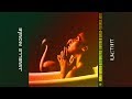 Janelle Monáe - I Like That (Easy Star All-Stars & Michael Goldwasser Reggae Remix) [Official Audio]