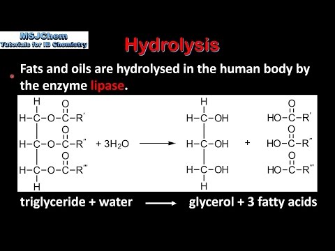 Video: Hydrolyserar lipas fetter och oljor?