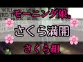 さくら満開 モーニング娘。さくら組 歌ってみた