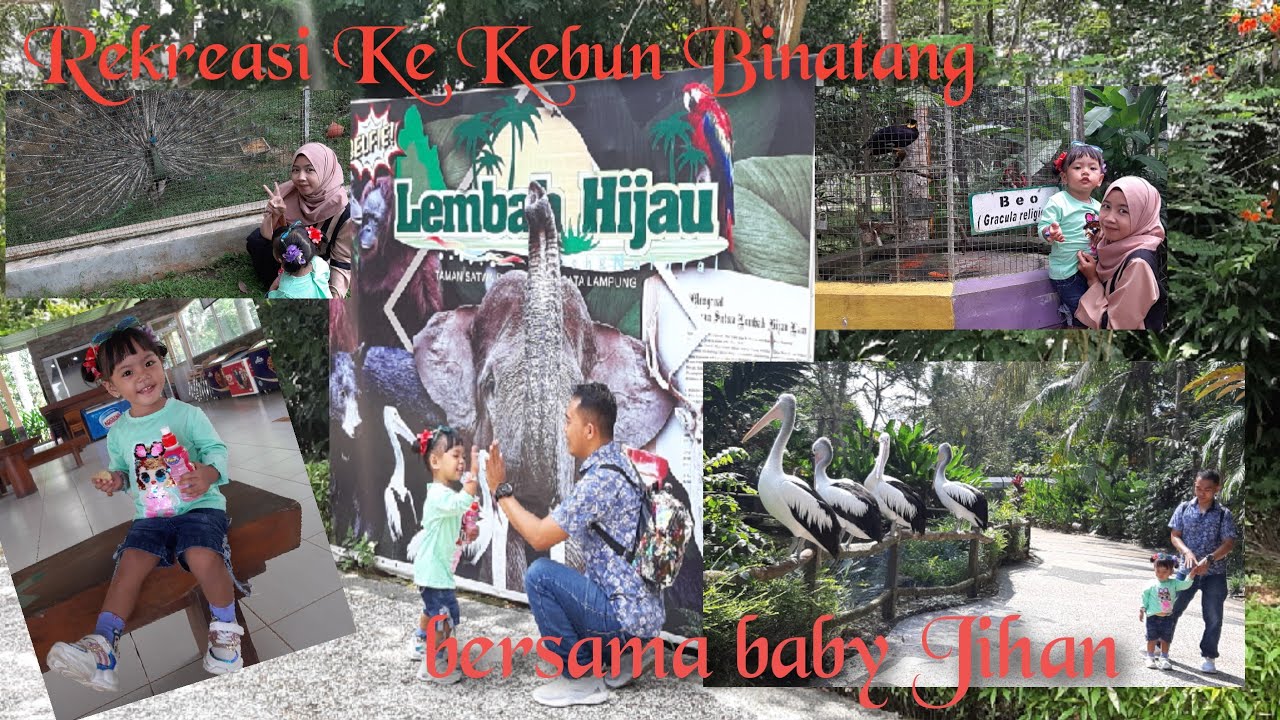 Wisata Kebun Binatang Lembah Hijau Lampung YouTube