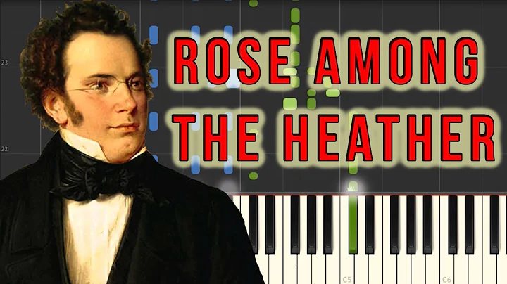 Rose Among The Heather (Heidenrslein) - Franz Schu...