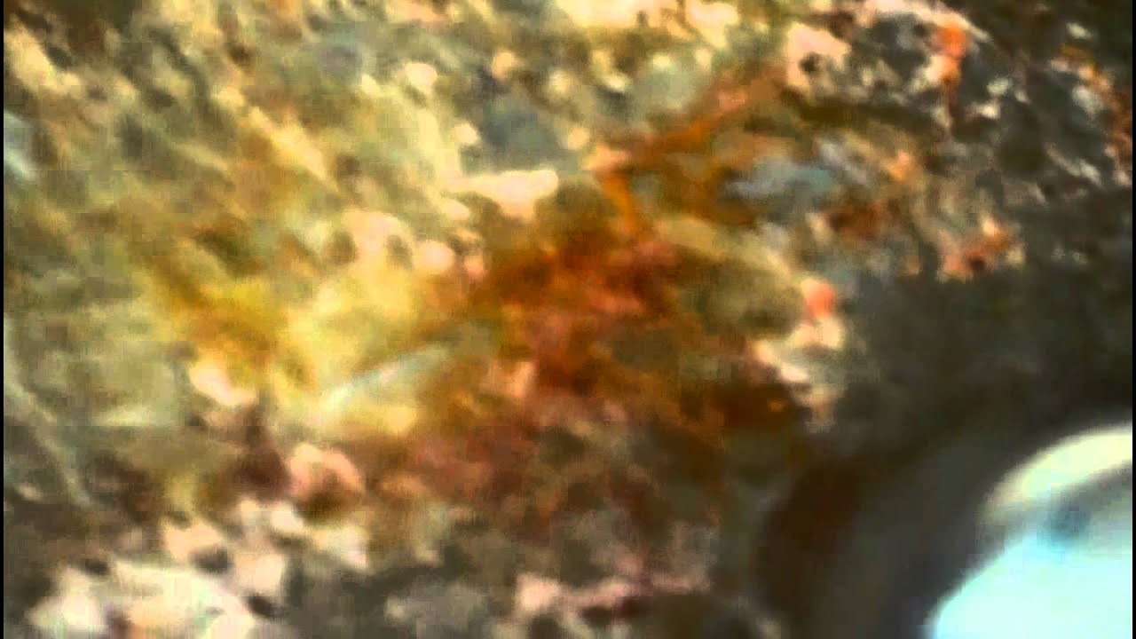 INCROSTAZIONI PADELLA FERRO