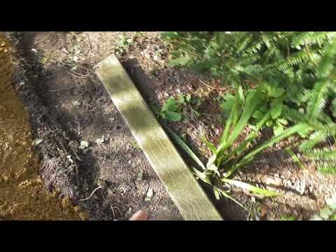 Greenhouse Building base Sand down & tools 2 March 2026