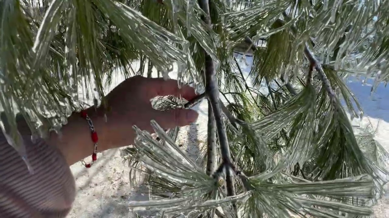 Mire como está detrás de mí casa 