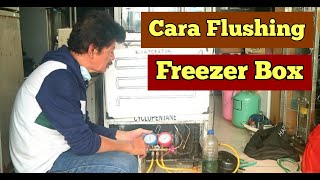 Cara Flushing Freezer Box yang Tidak Dingin