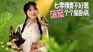 Download Lagu 【臥底萌寵：七零辣妻超護短】七零辣妻護短又霸氣，軟萌寵物深藏不露全員臥底，護她一世安穩順遂。 MP3