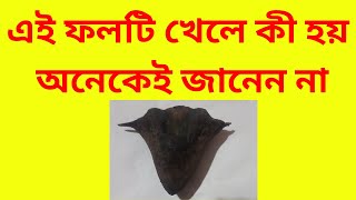 এই ফলটি খেলে কী হয় তা কিন্তু অনেকেই জানেন না। পানিফল খাওয়ার উপকারিতা। are water chestnuts healthy।