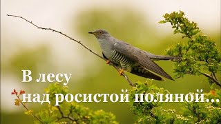 Самуил Маршак. В лесу над росистой поляной...| Стихи о природе поэтов 20 века