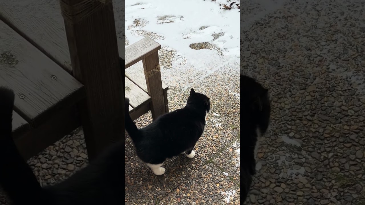 So cold 🥶🥶🥶 