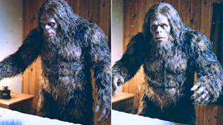 Sheriff's 911 Call in 2002 — Woman Giving Birth. Father Was Bigfoot at Her Side